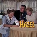 Hazel on Random Greatest Sitcoms from the 1960s