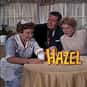 Shirley Booth, Bobby Buntrock, Don DeFore   Hazel is an American sitcom about a fictional live-in maid named Hazel Burke and her employers, the Baxters.