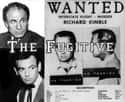 The Fugitive on Random Best 1960s Action TV Series