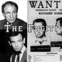 The Fugitive on Random Best 1960s Action TV Series