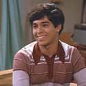 That '70s Show   Fez is a fictional character and one of the four male leads on the Fox Network's That '70s Show, portrayed by Wilmer Valderrama.