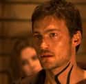 Andy Whitfield on Random Celebrity Deaths of 2011