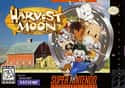 Harvest Moon on Random Greatest RPG Video Games