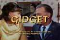 Gidget on Random Greatest Sitcoms from the 1960s