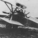 Hansa-Brandenburg D.I on Random Best World War 1 Airplanes