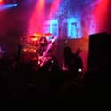 Trivium on Random Best Bands Like Five Finger Death Punch