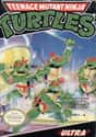 Teenage Mutant Ninja Turtles on Random Hardest Video Games To Complete