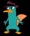 Perry the Platypus on Random Best Fictional Spies