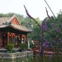 Prince Gong Mansion on Random Top Must-See Attractions in Beijing