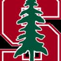 Stanford Cardinal football on Random Best Pac-12 Football Teams