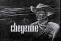 Cheyenne on Random Best 1960s Action TV Series