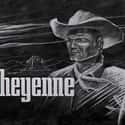 Cheyenne on Random Best 1960s Action TV Series