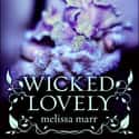 Wicked Lovely on Random Young Adult Novels That Should Be Adapted to Film