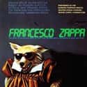 Francesco Zappa on Random Best Frank Zappa Albums List