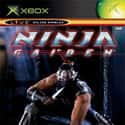 Ninja Gaiden on Random Best Action-Adventure Games