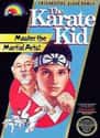 The Karate Kid on Random Single NES Game