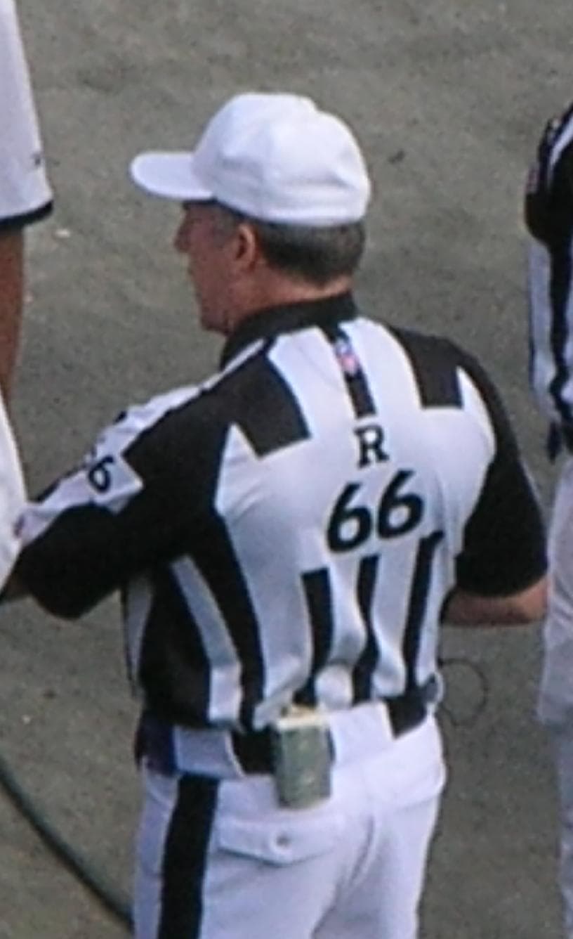 famous nfl referees