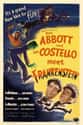 Abbott and Costello Meet Frankenstein on Random Funniest Vampire Parody Movies