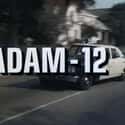 Adam-12 on Random Best Serial Cop Dramas