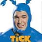 Patrick Warburton, David Burke, Liz Vassey   The Tick is an American sitcom based on the character Tick from the comic book of the same name. It aired on Fox in late 2001 and was produced by Columbia TriStar Television.