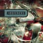 Mountain Battles is listed (or ranked) 22 on the list Famous Albums Produced by Steve Albini