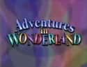 Adventures in Wonderland on Random Best Disney Shows of the '90s