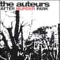 After Murder Park is listed (or ranked) 5 on the list Famous Albums Produced by Steve Albini