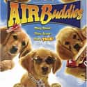 Air Buddies on Random Best Live Action Animal Movies for Kids
