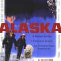 Alaska on Random Best Survival Movies Based on True Stories