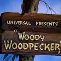 1941   Woody Woodpecker is the first animated cartoon short subject in the Woody Woodpecker series.