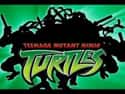 Teenage Mutant Ninja Turtles on Random Very Best Cartoon TV Shows