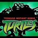 Teenage Mutant Ninja Turtles on Random Very Best Cartoon TV Shows