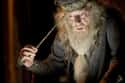 Professor Albus Dumbledore on Random Best Teachers at Hogwarts