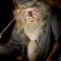 Professor Albus Dumbledore on Random Best Fictional LGBTQ+ Role Models