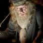 Professor Albus Dumbledore is listed (or ranked) 8 on the list The Greatest Fictional Mentors