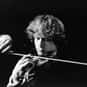 Alexander Markov is listed (or ranked) 27 on the list The Best Classical Violinists in the World