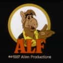 ALF: The Animated Series on Random Most Unforgettable '80s Cartoons