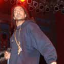Hip hop music, Gangsta rap, G-funk   Ermias Asghedom (August 15, 1985 – March 31, 2019), known professionally as Nipsey Hussle (often stylized as Nipsey Hu$$le), was an American rapper from Los Angeles, California.