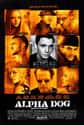 Alpha Dog on Random Great Movies About Juvenile Delinquents