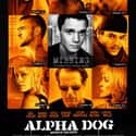 Alpha Dog on Random Very Best Teen Noir Movies