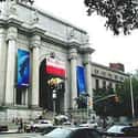 American Museum of Natural History on Random Top Must-See Attractions in New York
