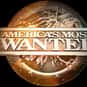John Walsh   America's Most Wanted is an American television program produced by 20th Television, and was the longest-running program of any kind in the history of the Fox Television Network until it was...