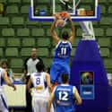Center   Andreas Glyniadakis is a Greek professional basketball player who plays for CS Energia Rovinari of the Romanian Liga Națională.