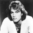 Andy Gibb on Random Famous People Buried at Forest Lawn Memorial Park