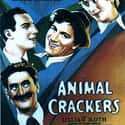 Groucho Marx, Harpo Marx, Zeppo Marx   Animal Crackers is a 1930 Marx Brothers comedy film, in which mayhem and zaniness ensue when a valuable painting goes missing during a party in honor of famed African explorer Captain Spaulding....