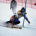 Anja Pärson on Random Best Olympic Athletes in Alpine Skiing