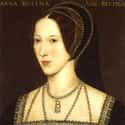Dec. at 35 (1501-1536)   Anne Boleyn was Queen of England from 1533 to 1536 as the second wife of King Henry VIII and Marquess of Pembroke in her own right.
