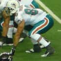 Anthony Fasano on Random Best Miami Dolphins Tight Ends