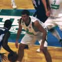 Power forward, Center   Antonis Fotsis is a Greek professional basketball player who plays for Panathinaikos of the Greek League.