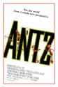 Antz on Random Best Movies On Hulu Right Now